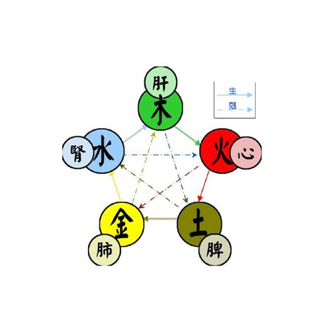 五行數|五行(對萬事萬物的取象比類):簡介介紹,涵義解析,初始含義,對應關。